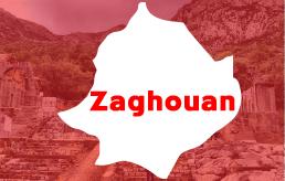 Annonce à Zaghouan