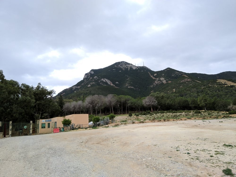 Parc National de Boukornine: Randonnées et découvertes pour les jeunes dans le Parc National de Boukornine