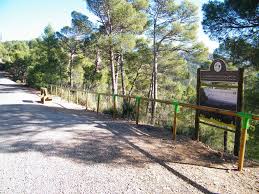 Parc National de Chaambi: Les plus beaux paysages de Tunisie pour les jeunes aventuriers