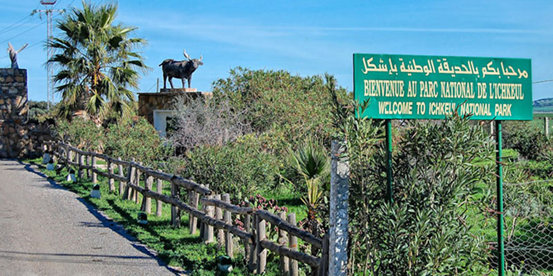 Parc National de l'Ichkeul Bizerte: Activités nautiques et nature pour les jeunes en Tunisie au Parc National de l'Ichkeul