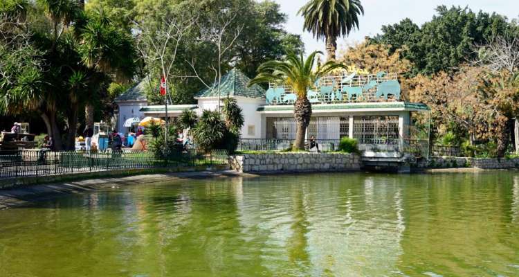 Parc du Belvédère à Tunis: Vue panoramique et activités de plein air pour les jeunes à Tunis