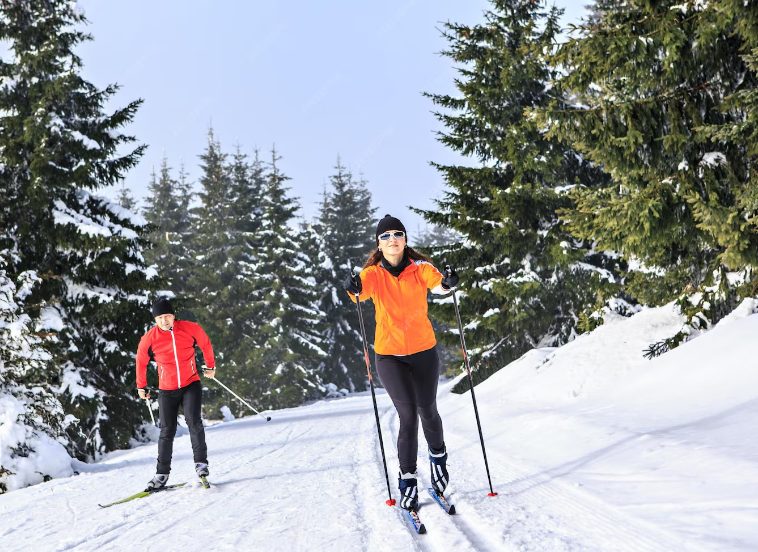 Deux skieurs de fond en forêt enneigée, activité hivernale avec neige fraîche