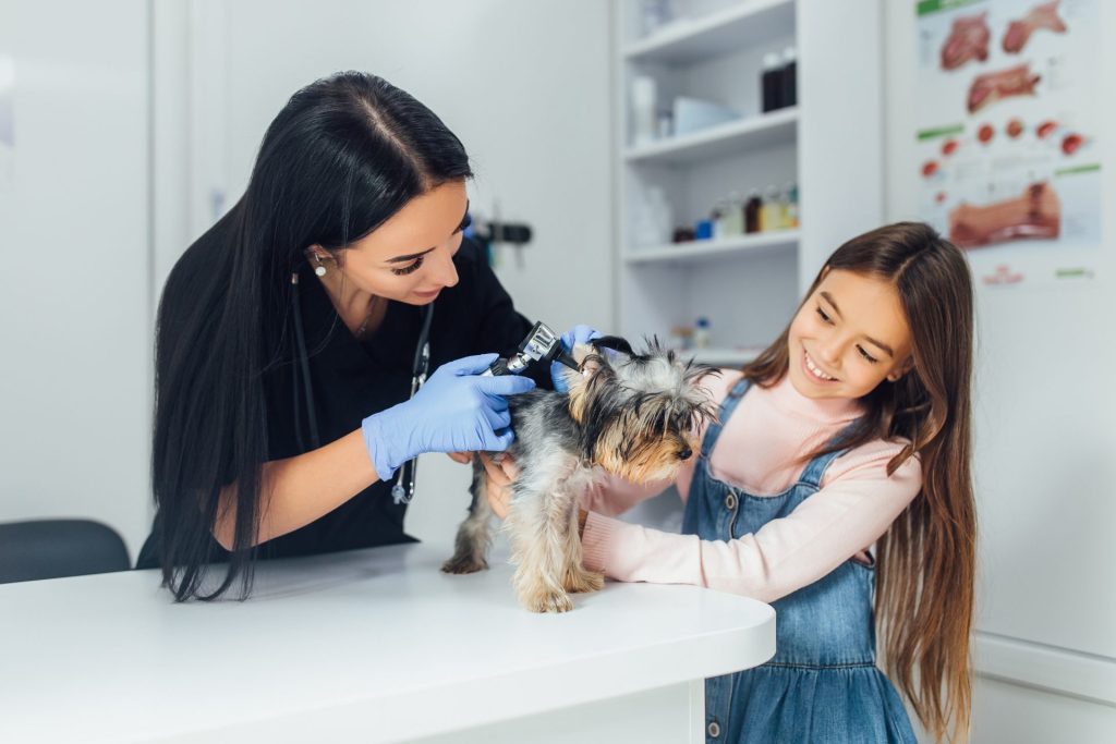 Une vétérinaire examine un petit chien en présence d'une jeune fille souriante dans une clinique vétérinaire.