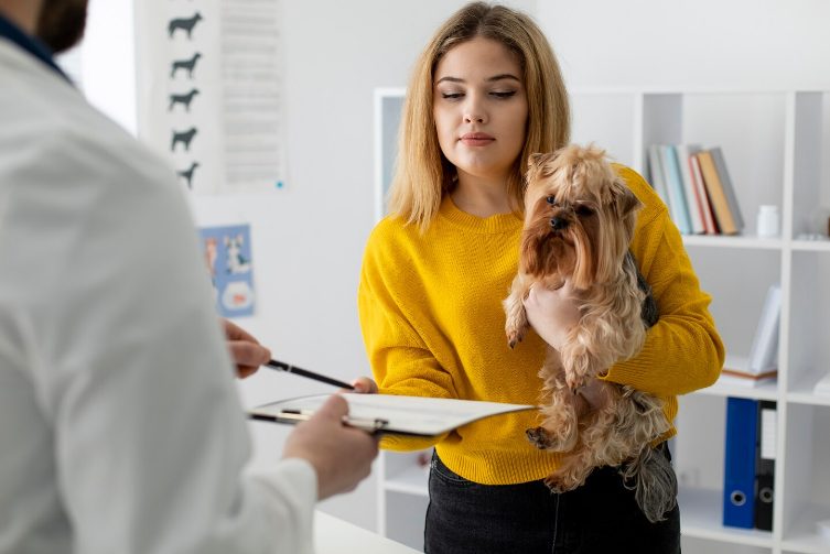 Une femme tient un petit chien dans un cabinet vétérinaire pendant qu’un vétérinaire prépare des documents pour la consultation.