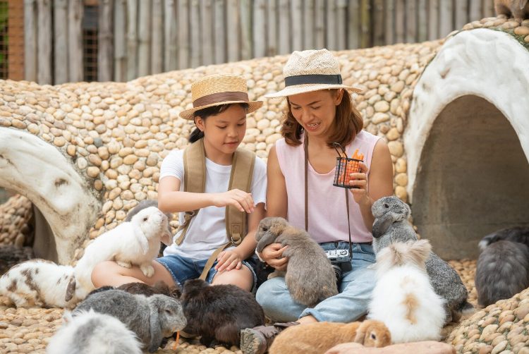 Famille avec lapins — habitat adapté indispensable