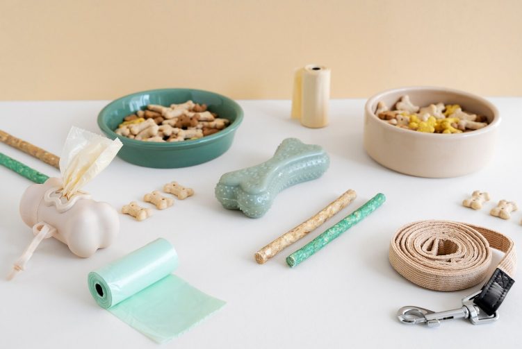 Accessoires pour chien en Tunisie – laisse rétractable, gamelles, jouets, friandises et brosse de toilettage