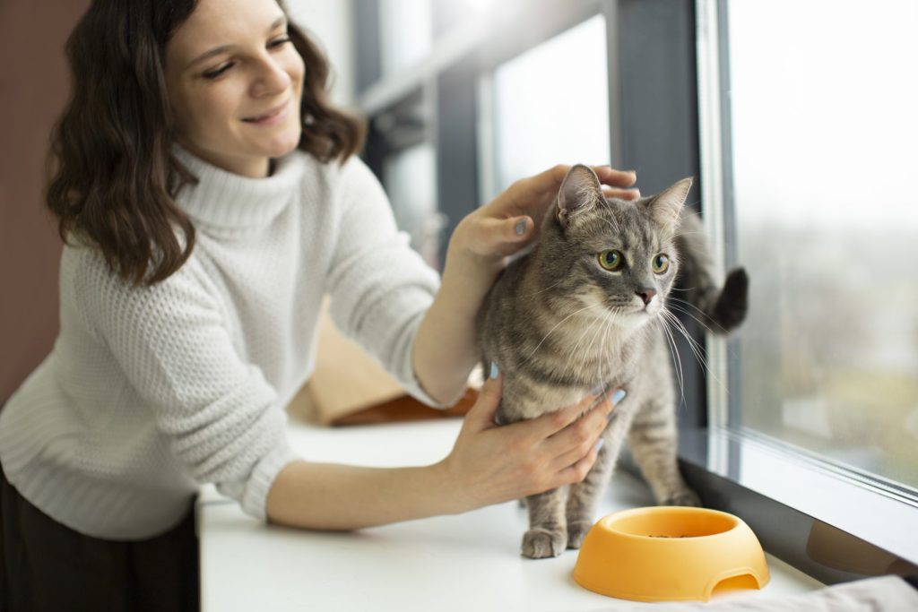 Visite à domicile pour nourrir un chat pendant l’absence des propriétaires