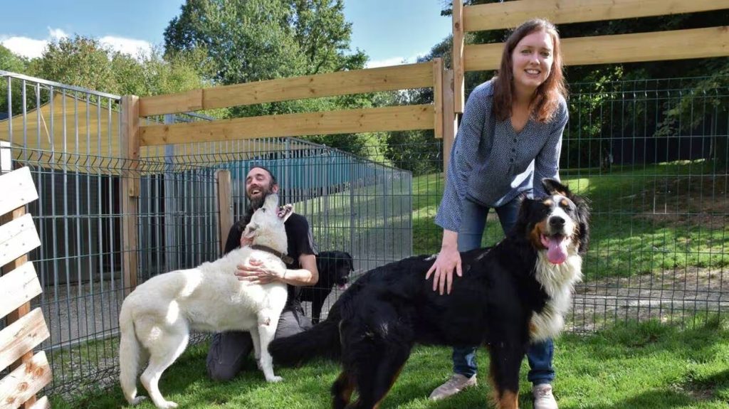 Pension pour chien en Tunisie avec espace sécurisé