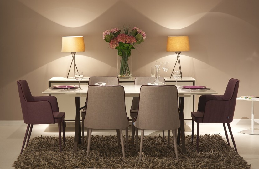 Ensemble mobilier de repas dans une ambiance chaleureuse