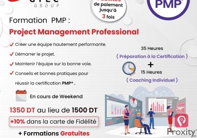 Formation PMP : Professional Project Management