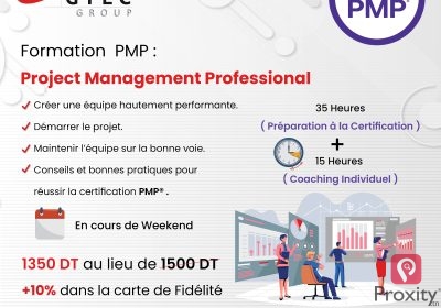 Formation PMP Project Management Professional