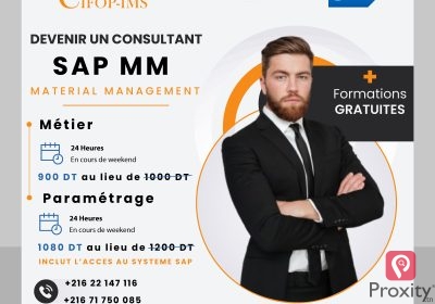 Consultant SAP MM ( Métier + Paramétrage )