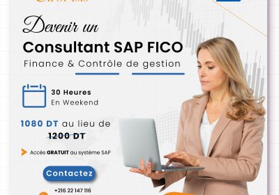 Formation consultant SAP FICO : finance & Contrôle de gestion