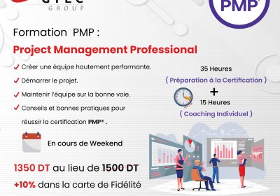 Promo d'été: Formation PMP Project Management Professional