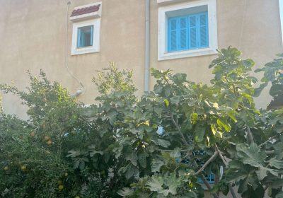 Maison familiale spacieuse à Raoued sur 500 m²