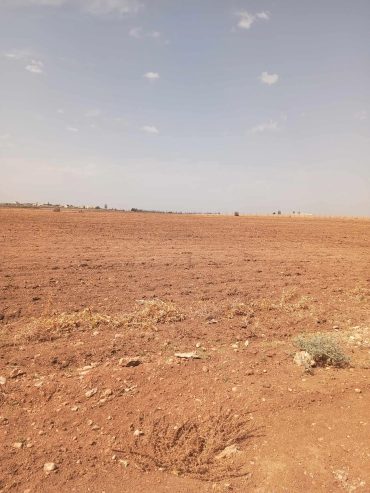 Terrain-agricole-nus-a-vendre-a-Borj-Amri-prix-85000-dinars-proxity.tn-annonces-immobilier-terrain-agricole-tunisie-1