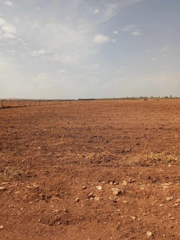 Terrain-agricole-nus-a-vendre-a-Borj-Amri-prix-85000-dinars-proxity.tn-annonces-immobilier-terrain-agricole-tunisie