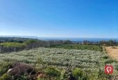 Terrain agricole à Rafraf avec vue mer