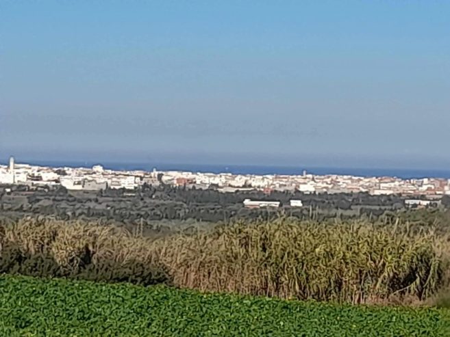 Terrain-agricole-de-2400-m²-a-vendre-a-raf-raf-prix-1200000-dinars-proxity.tn-annonce-vente-terrain-agricole-tunisie-2