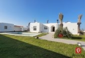 grande maison sur mezraya djerba za