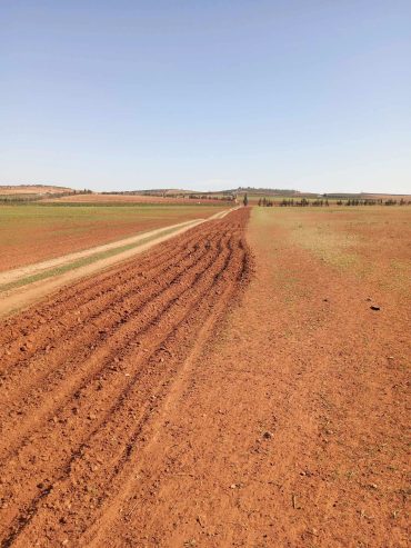 Agence-med-ali-zaier-El-Manar-2-vente-terrain-agricle-de-13-hectares-a-jdaida-prix-1105000-dinars-proxity.tn-annonces-tunisie-immobilier-terrain-a-vendre-2