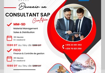 Formation SAP MM & SD / FICO