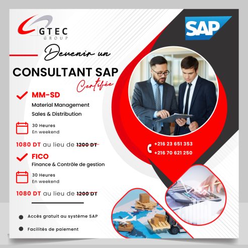 Formation SAP MM & SD / FICO