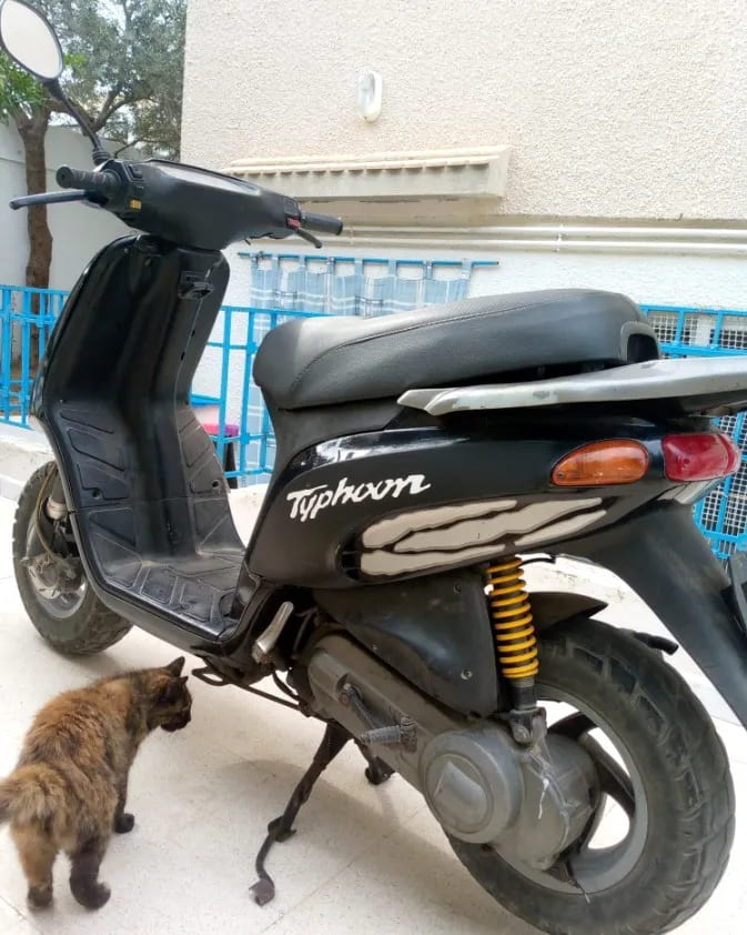 Scooter-Piaggio-Typhoon-50-2T-a-vendre-a-Nabeul-prix-1500-dinars-proxity.tn-annonces-tunisie-moto-occasion-a-vendre-1