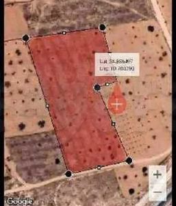 Terrain 12000m² à vendre – Sfax Teniour – 160000 DT