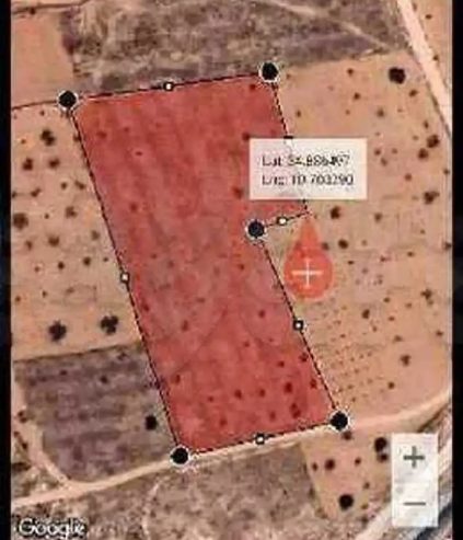 Terrain-12000-m2-a-vendre-a-Sfax-Teniour-km-16-prix-160000-dinars-proxity.tn-annonces-tunisie-immobilier-terrain-a-vendre-1