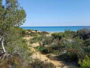 Terrain pieds dans l’eau à Kélibia