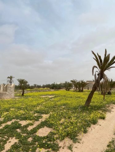 Villa-sur-un-terrain-5000-m2-a-vendre-Djerba-Houmt-Souk-Prix-375000-dinars-proxity.tn-annonce-tunisie-immobilier-villa-a-vendre-2