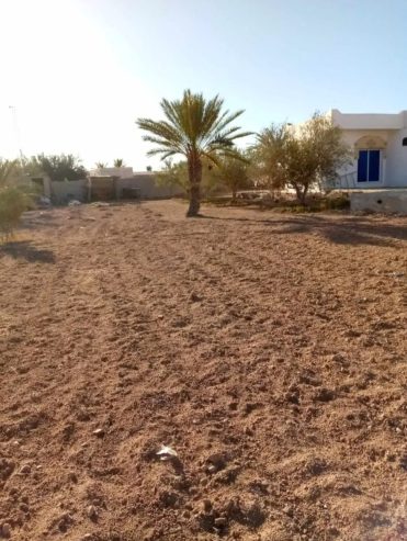 Villa-sur-un-terrain-5000-m2-a-vendre-Djerba-Houmt-Souk-Prix-375000-dinars-proxity.tn-annonce-tunisie-immobilier-villa-a-vendre-5