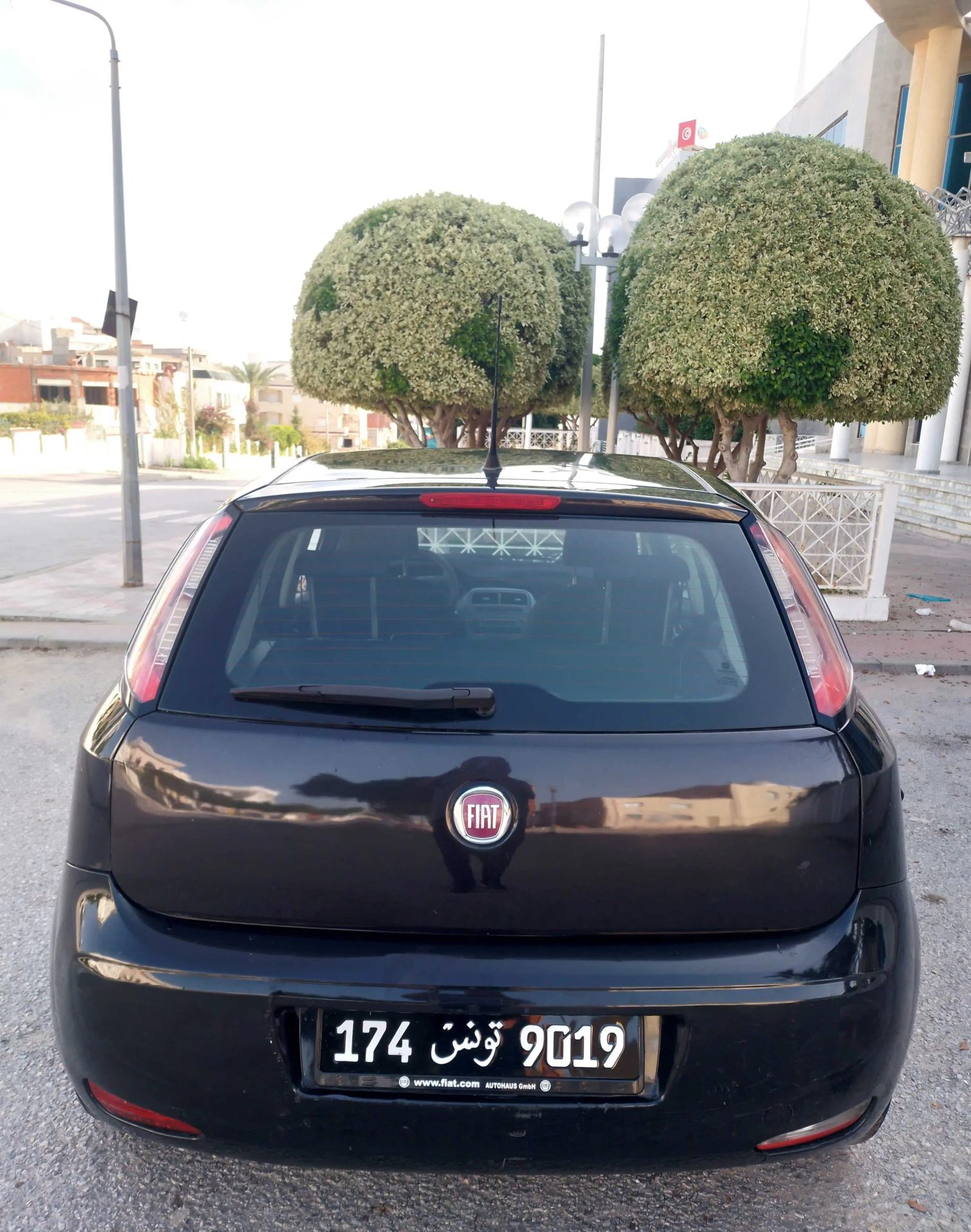 Voiture-occasion-Fiat-Punto-2024-a-vendre-a-Bizerte-prix-23800-dinars-proxity.tn-annonces-tunisie-voitures-occasions-a-vendre-5