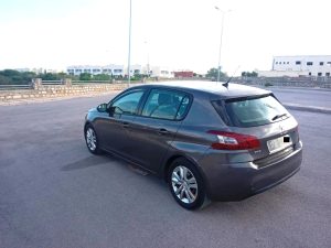 Peugeot 308 marron – Hammam Chatt – 34000 DT