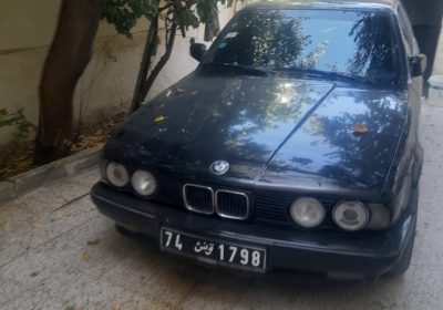 BMW E34 D