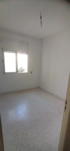 appartement-S1-a-louer-a-Manouba-pres-du-Technopole-loyer-550-dinars-proxity.tn-annonces-tunisie-immobilier-appartement-a-louer-7-1