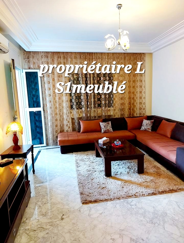 Appartement S+1meublé à louer