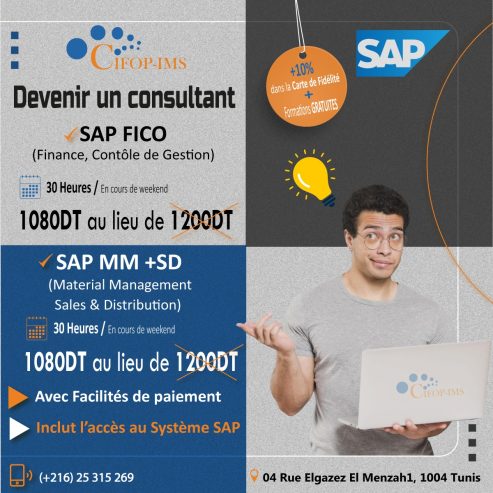 Devenir Consultant en SAP