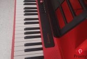 Orgue / Clavier Casio CT-S200 RD