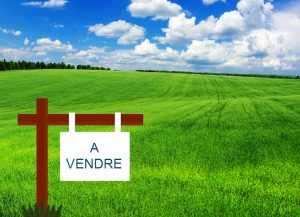 Terrain Clôturé 300m² – Lotissement Ministère Agriculture – Raoued – 50 000 DT