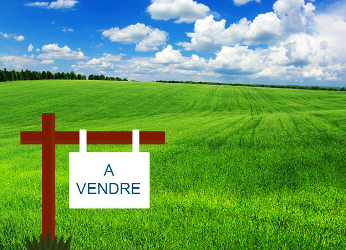 Terain-300m2-cloture-a-vendre-Raoued-50000-DT