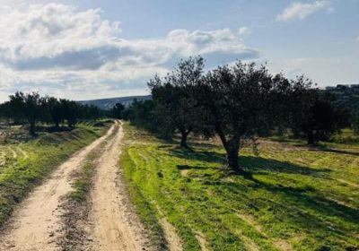 Terrain Agricole 2466 m² à Hammamet