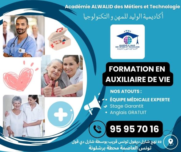 Formation-en-Auxiliaire-de-Vie