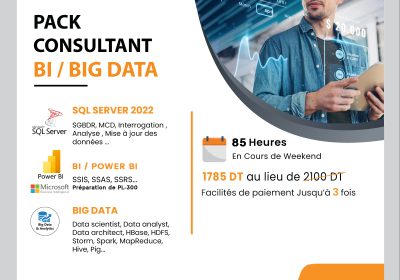 Pack Consultant BI / Big Data