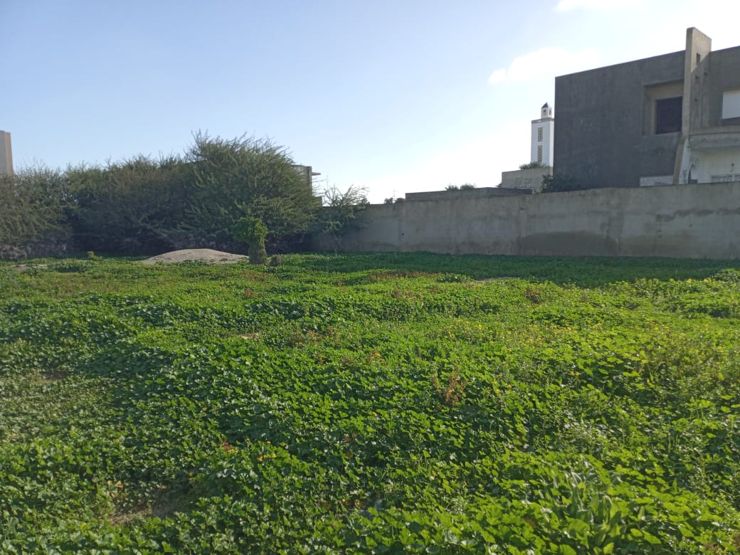 Terrain-1500m²-a-Vendre-La-Soukra-Parc-Zone-Villas-Prix-1.200.000-DT-1