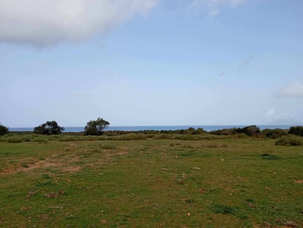 Terrain-a-El-Haouaria-de-5-hectares-avec-vue-imprenable-sur-la-mer-et-ile-de-Zembra