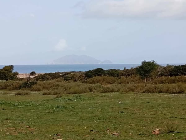 Terrain-de-5-hectares-a-El-Haouaria-avec-vue-panoramique-sur-la-mer-et-lile-de-Zembra