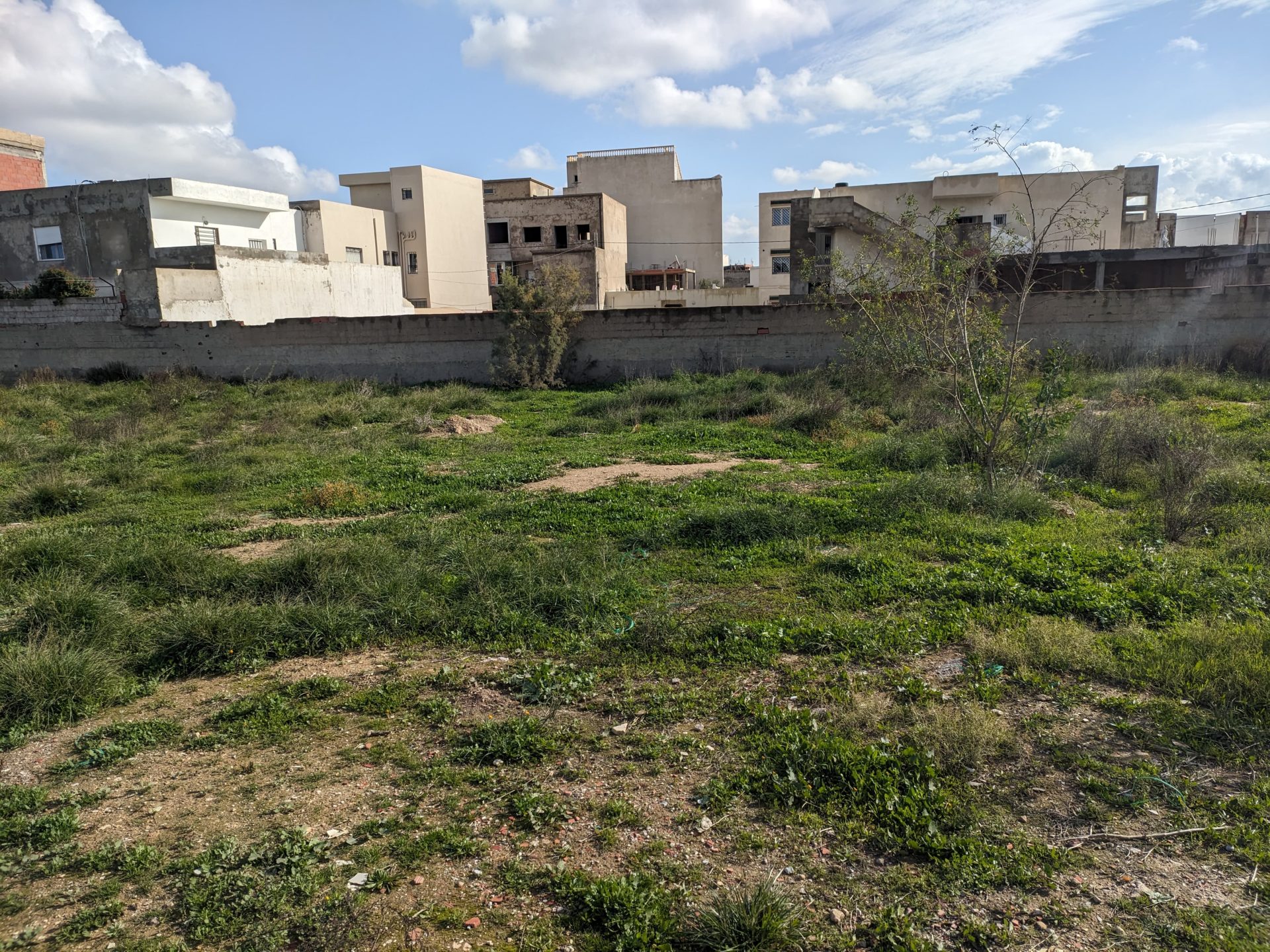 investissement-immobilier-terrain-La-Soukra