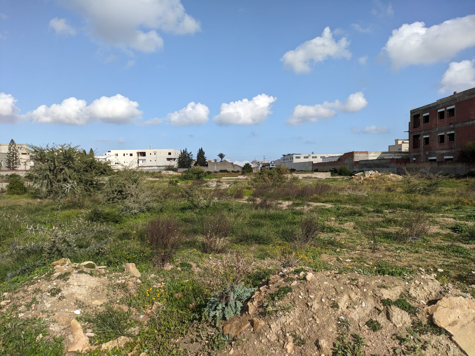 terrain-4605-m²-titre-foncier-individuel-La-Soukra